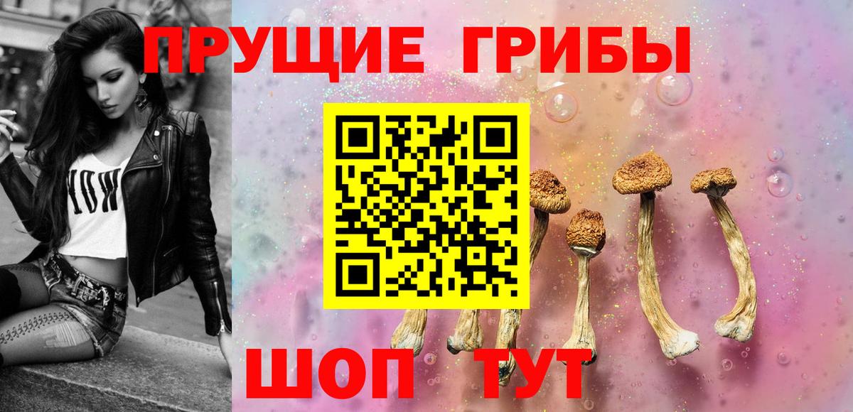 Качканар  Галлюциногенные грибы Psilocybine cubensis  Вход с VPN 