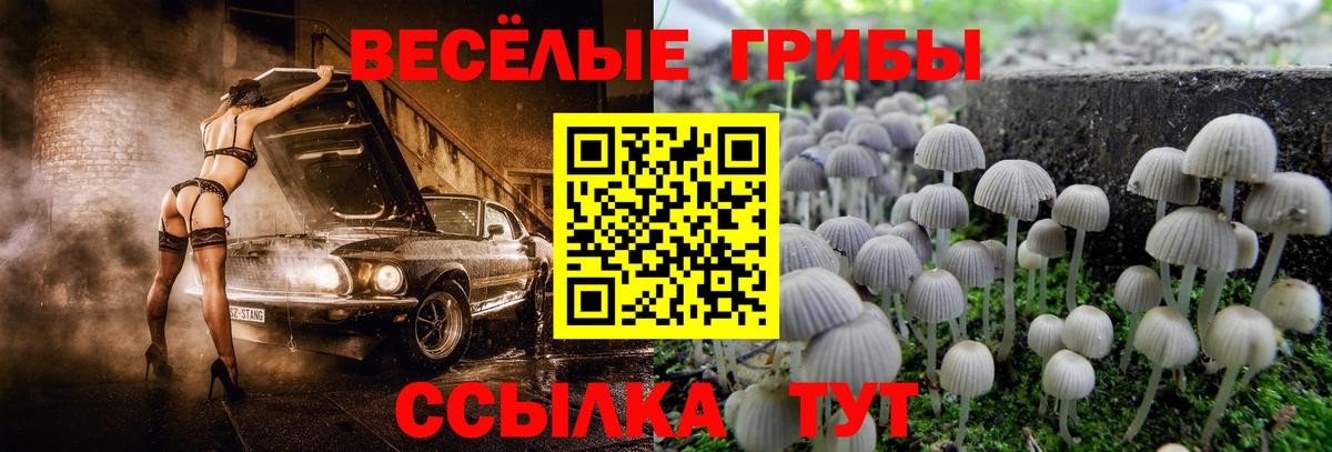 Галлюциногенные грибы Magic Shrooms Качканар